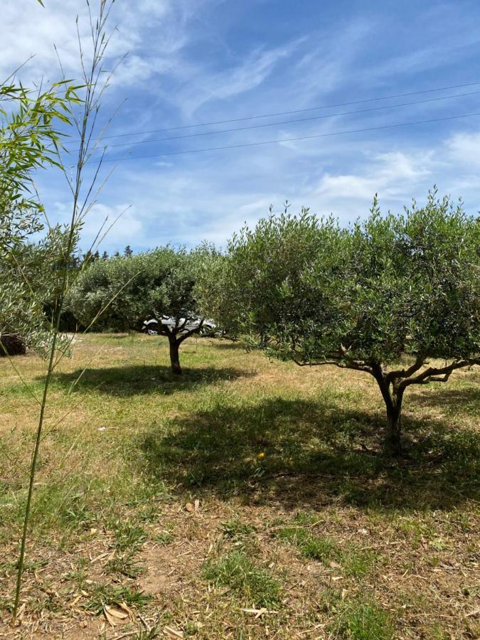 Des Oliviers Clim Reversible Chalet Beziers